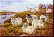 unknow artist Sheep 063 Germany oil painting artist